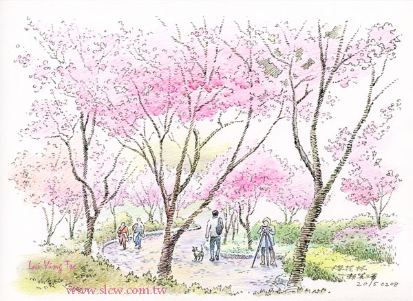 櫻花林_Sakura Trees 賴英澤 繪_Painted by Lai Ying-Tse